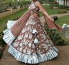 DeeVineeTi Custom Made Indian Women Pale Brown Georgette Abla Embroidered Ruffled Lehenga Choli 1
